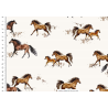 Popeline imprimée chevaux 100% coton