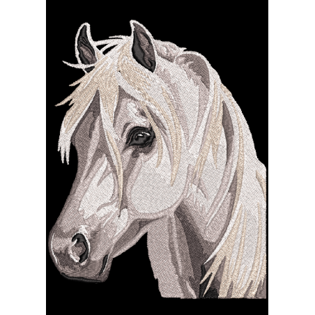 motif broderie machine, fichier broderie motif cheval, fichier broderie motif équestre, fichier broderie motif sport équestre éq